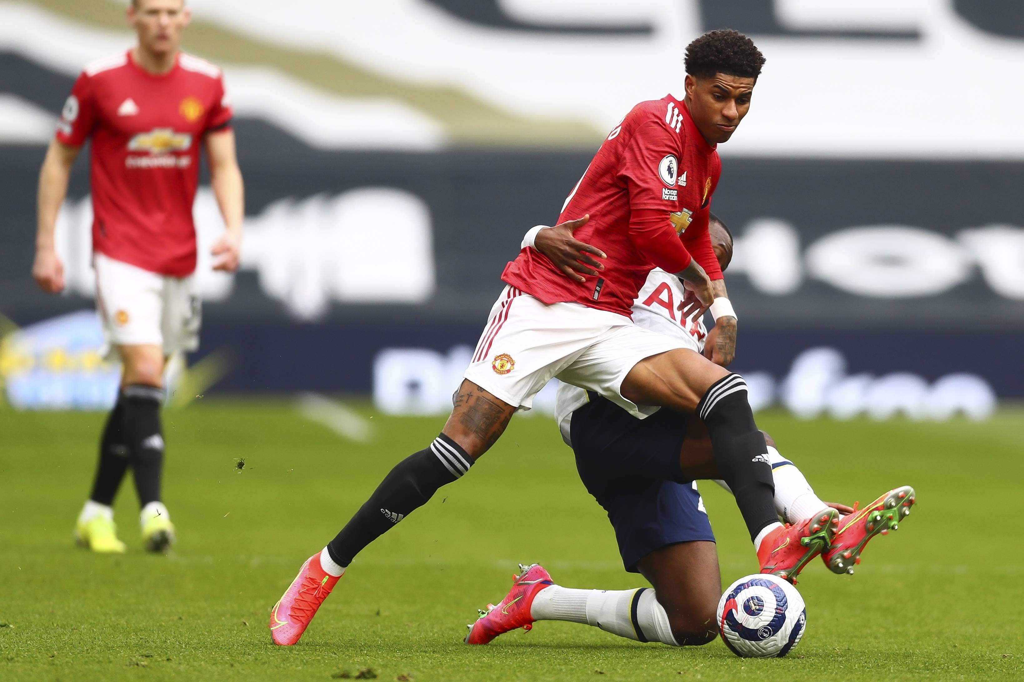 不仅展示了 不仅展示了